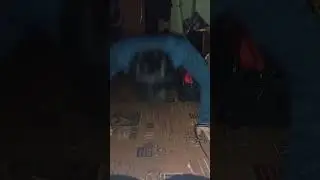 #спорт