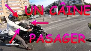 MOTOVLOG - AM SCĂPAT DE NUMERELE ROȘII