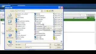 Upload Multiple Images