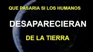 Que Pasaria si los Humanos Desaparecieran de laTierra