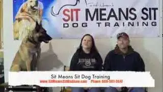 Belgian Malinois Dog Training