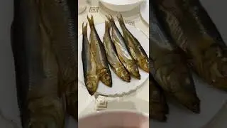 Морская камбала гигант 😃