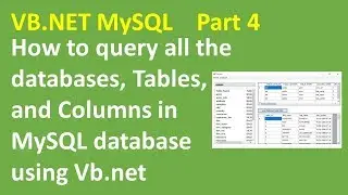 VB.NET MySQL Query all databases, Tables, and columns Part 4