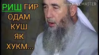 Барои Риш сухан мегуям