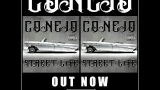 CONEJO ~ NOT GIVING UP