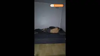 잠방 sleep stream (I set an alarm for a 8:45 in Korea time.)