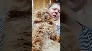 Пересматриваю наши песни. Без улыбки не могу. Наше лучшее исполнение.