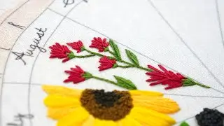 Phenology Wheel, Video 9 - August