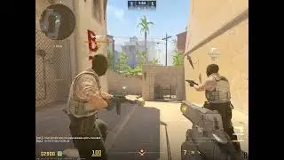 босин много очень видео