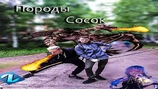 Я сам НЕ ПОНИМАЮ КАК ЭТО БЫЛО СТАЛО (ЯТО КУБО)