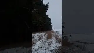Воспоминания из прошлого