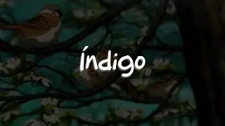 Camilo, Evaluna Montaner - Índigo (Letra)