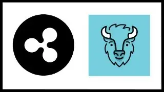 Ripple has 50% of India Banks! Ripple XRP Infographic - Bison Crypto App to Launch in Fall 2018