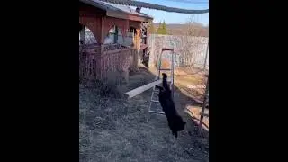 Так еще никто не шутил...