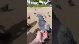 На прогулке #приколы #екатеринбург #рекомендации