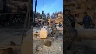 ЗАСТАВЛЯЮ РАБОТНИКОВ ПАХАТЬ