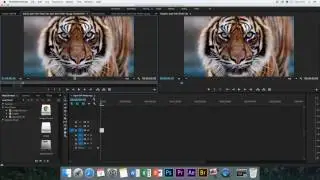 Tutorial on how to key frame on Adobe Premiere Pro