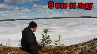 9 мая рыбачим со льда. Свозил жену на рыбалку. Рыбалка на Кольском