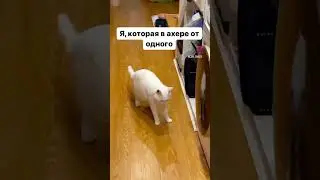 А у вас сколько детей?😅