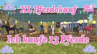 SSO 🐴 XL Pferdekauf Ich kaufe 13 Pferde beim Basar