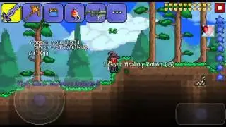 Terraria: Fighting the King Slime