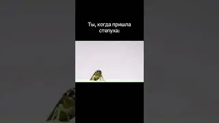 #мем #рекомендации #шутка #прикол #врек #шортс #жиза