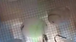 Live video