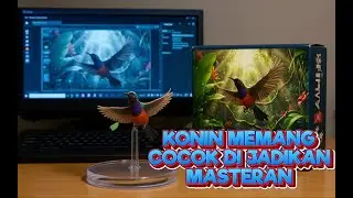 Kolibri rumahan #kicaumania #burungkicaudialamliar 