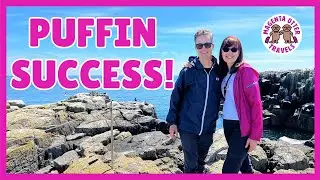 Puffin Tour of the Farne Islands    
