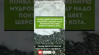 тик-ток shorts