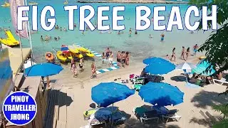 FIG TREE BEACH PARALIMNI #cyprus #beach