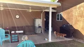 Todd Challenge #5