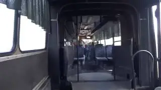 Ikarus 280.03 Н 591 КО 46 Маршрут №141 Курск - Камыши