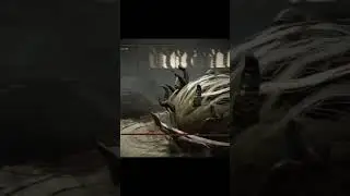 How NOT to fight Dancing Lion in 