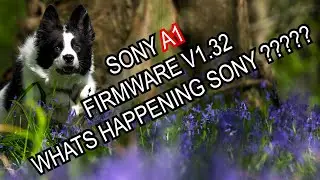 SONY A1 FIRMWARE V1.32 WHATS HAPPENING SONY ???????