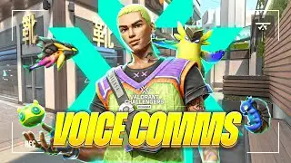The Honest Voice Chat of A Pro Valorant Tournament