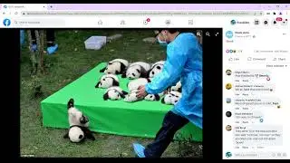 Facebook Image Post Scraper