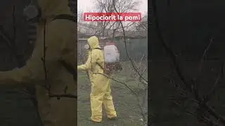 Tratament cu Clor in repaus vegetativ 