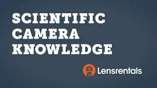 Lensrentals vs. Other Rental Houses: Scientific Camera Knowledge
