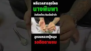 มวลสารตำให้ชมกันเห็นๆ พระผงพรายปาฏิหาริย์​ รุ่น พรา​ยโคตร​เศรษฐี​ วัด​โคกสูง​ สงขลา มาชมกันเอง