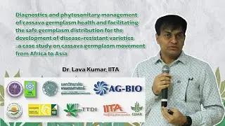 Diagnostics and phytosanitary management of cassava germplasm health ...