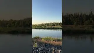 река Урал 08.09.2024 год