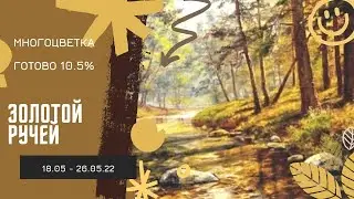 Многоцветка Золотой ручей / Готово 10,5% / Продвижения 18.07 - 26.05.22