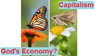 Is Capitalism God's Economy?
