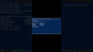 How to use startup force, startup nomount force and startup mount force option in Oracle 19c DB ?