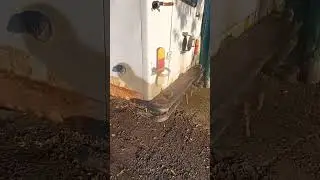 Газ 69 АВТОДОМ 4Х4  #автодом #автодом4х4 #4х4 #4х4_полный_привод