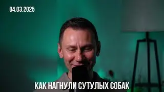 Как нагнули сутулых собак. 04.03.2025