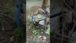 Обратная сторона Грузии