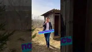 #юмор