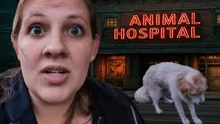 I Can't Believe This Is Happening Again!!! What's Wrong With My Animals?!